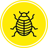 Bed Bug Icon 1 Bed Bug Pest Control Solutions in Kansas City