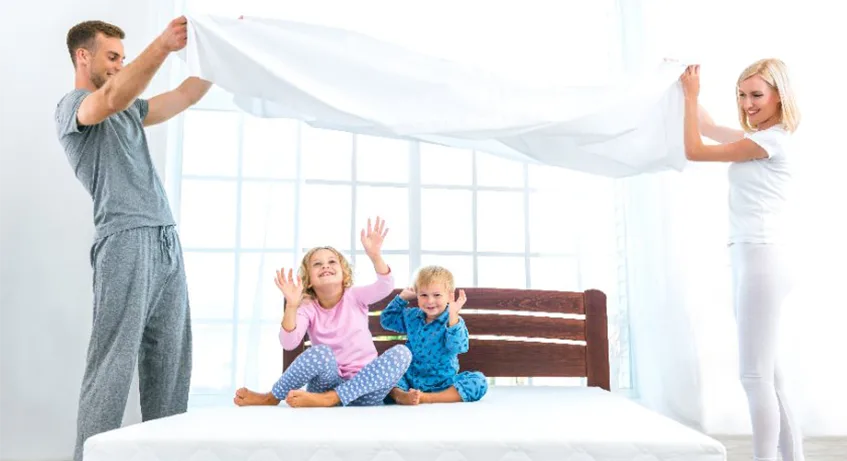 Bed bugs bed bug solutions in Kansas city | Blue Beetle Pest Control