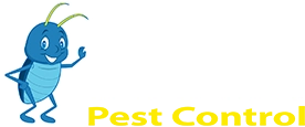 Blue Beetle Pest Control