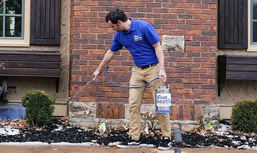 blue beetle pest control technician spraying the perimeter a home