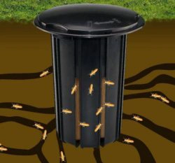 termite treatment Termite monitoring bait station around the home | Blue Beetle Pest Control in Kansas City