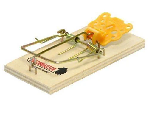 Mice-wooden-snap-trap-Blue-Beetle-Pest-Control Mice wooden snap trap Kansas City Blue Beetle Pest Control