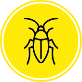 Roach icon cockroach exterminator Kansas City
