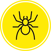 Spider icon spiders pest control Kansas city