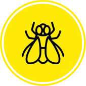 fly icon fly exterminator Kansas City