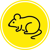 rodent icon