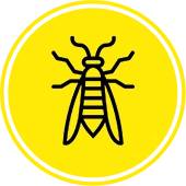 wasp icon wasps and yellowjacket pest control Kansas city