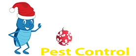 Blue Beetle Pest Control