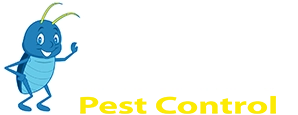 Blue Beetle Pest Control