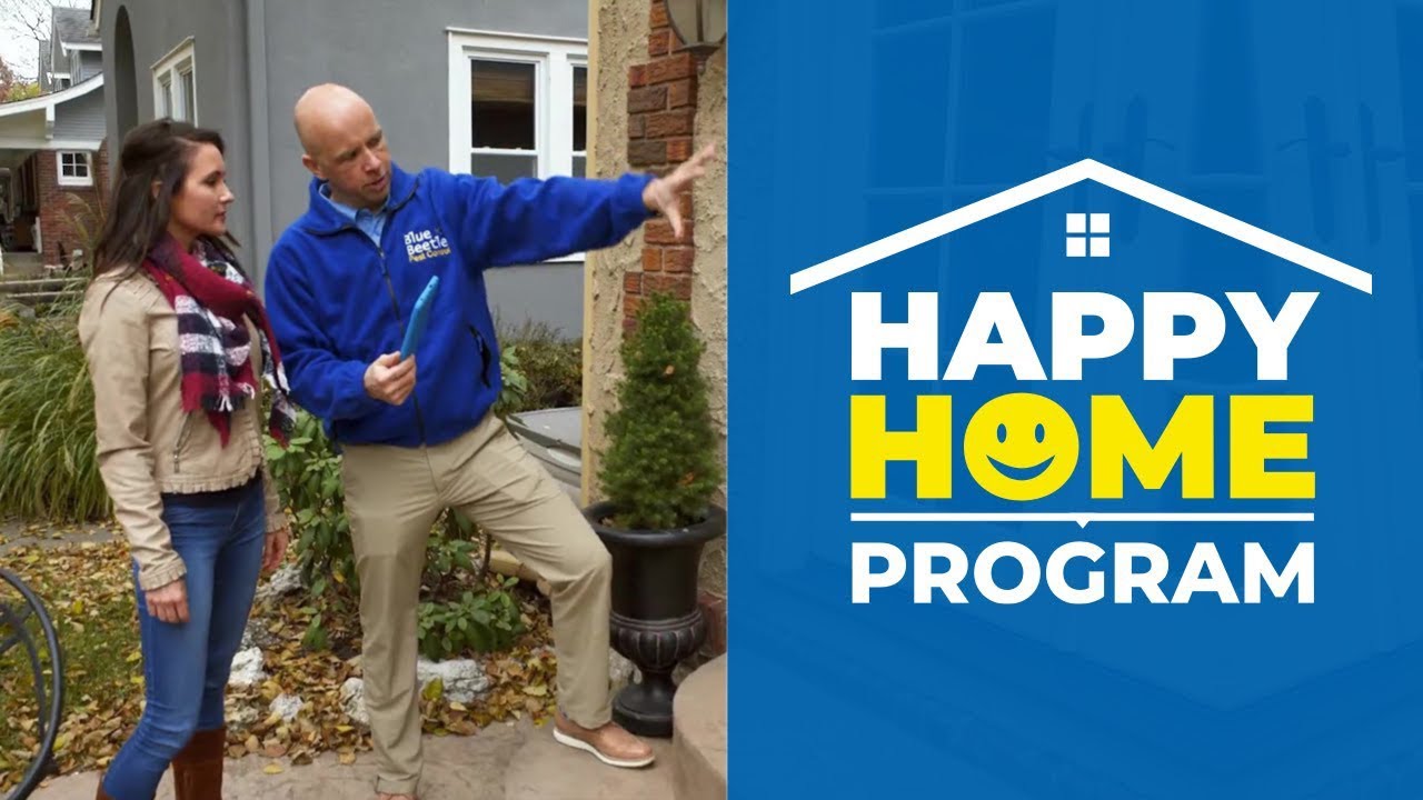 Happy Home Program by Blue Beetle Pest Control