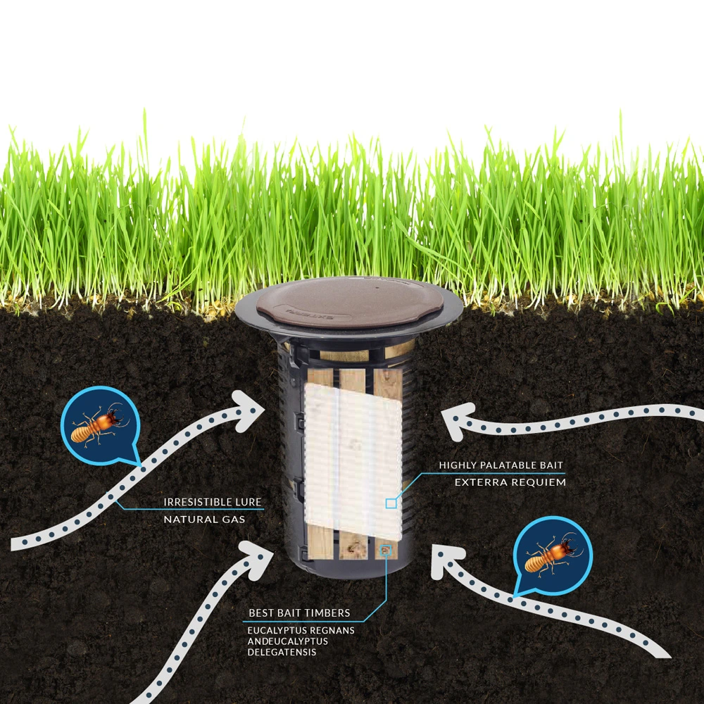 Termite bait station to prevent infestation