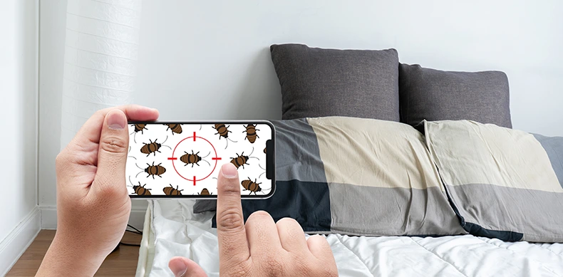 what attracts bed bugs Pro Tips To Prevent Bed Bugs in Your Home