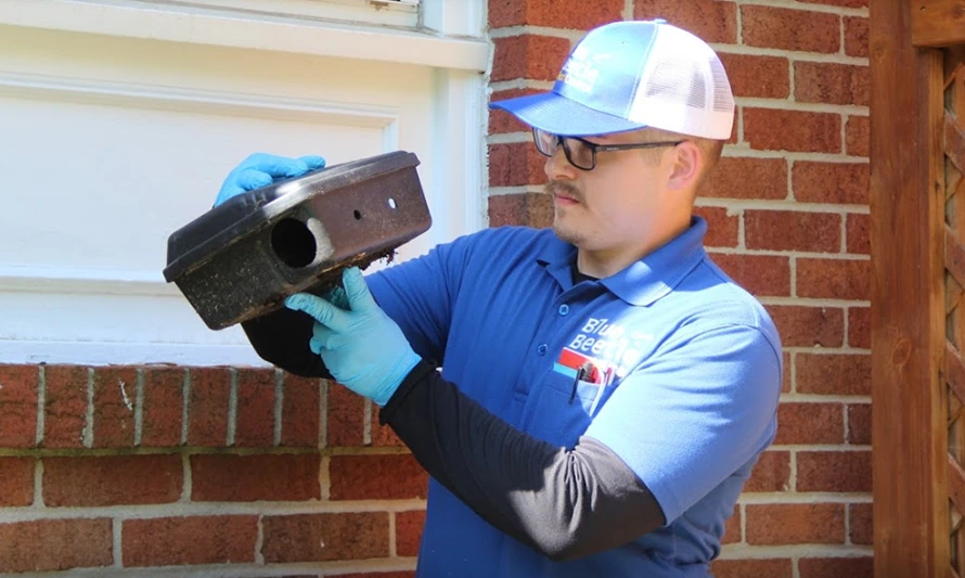 rodent control in Kansas City | Blue Beetle Pest Control