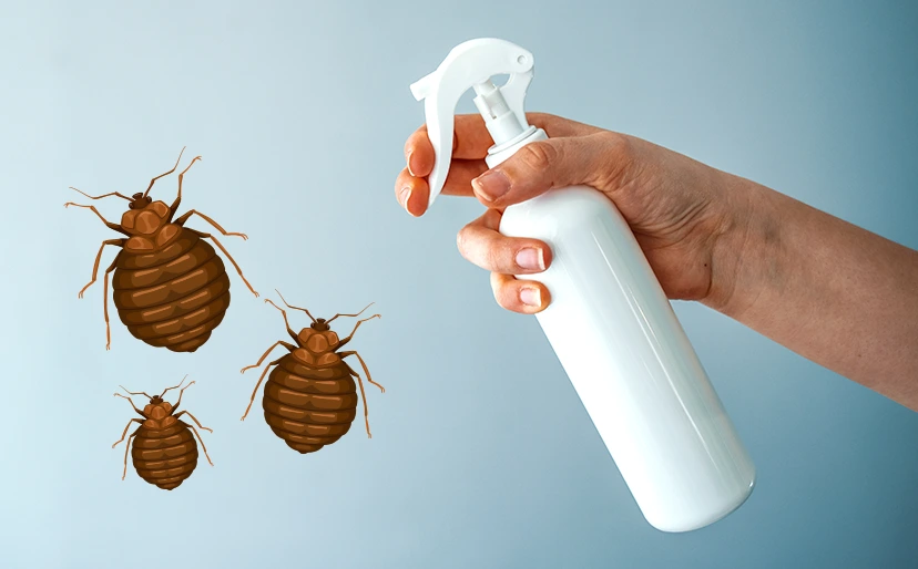 does rubbing alcohol kill bed bugs?