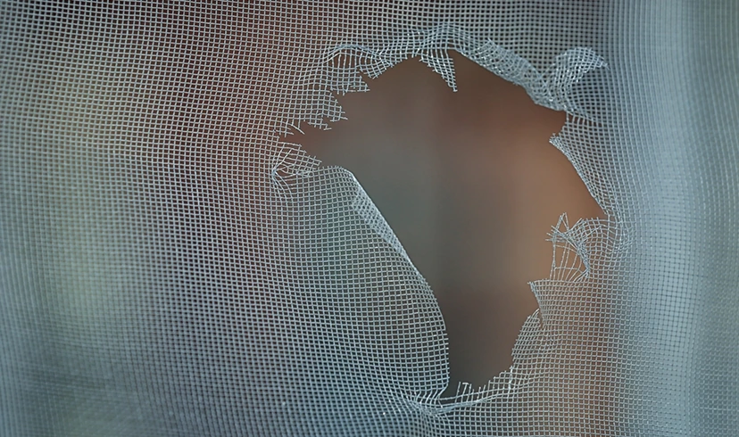 window screen damaged window screen as an entry point for spiders