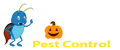 Blue Beetle Pest Control
